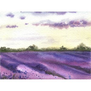 Ilustrace Watercolor lavender field, hand drawn Provencal, Elena Dorosh, (40 x 30 cm)