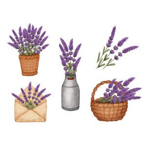 Ilustrace Set watercolor lavender bouquet in bucket,, Evgeniya Sheydt, (40 x 30 cm)