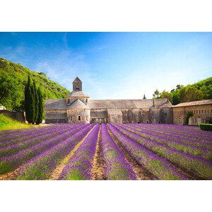 Ilustrace Senanque Abbey (Provence, France), Tatiana Krakowiak, (40 x 26.7 cm)