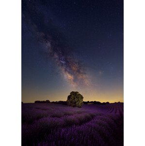 Umělecká fotografie Milky Way dreams, Carlos Hernandez Martinez, (26.7 x 40 cm)