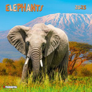 Kalendář 2025 Elephant