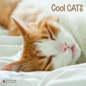 Kalendář 2025 Cool Cats