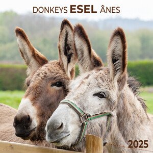 Kalendář 2025 Esel