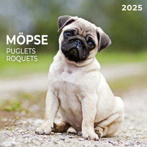 Kalendář 2025 Puglets