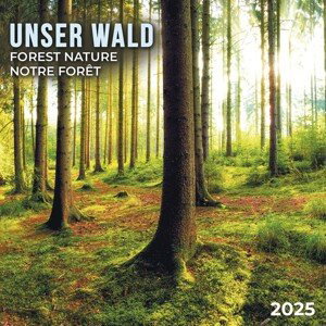 Kalendář 2025 Forest Nature