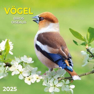 Kalendář 2025 Birds