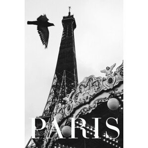 Fotografie Paris Dove, Rikard Martin, (26.7 x 40 cm)