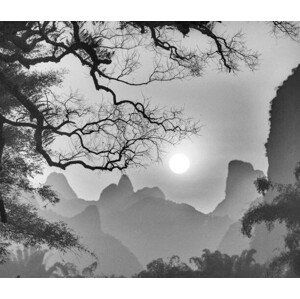 Fotografie withered tree and mountain, c1a1p1c1o1m1, (40 x 35 cm)