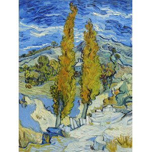 Obrazová reprodukce The Poplars at Saint-Rémy (1889), Vincent van Gogh, 30x40 cm