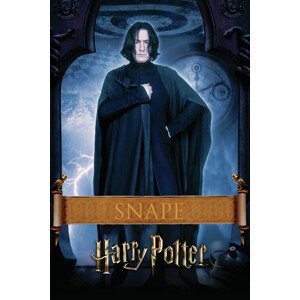 Umělecký tisk Harry Potter - Snape, (26.7 x 40 cm)
