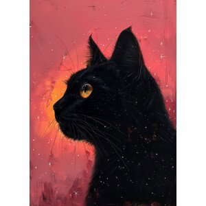Ilustrace Candy Cat the Star III, Justyna Jaszke, (30 x 40 cm)