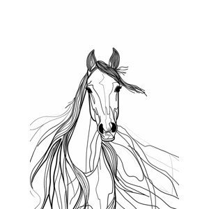 Ilustrace Line Horse, Justyna Jaszke, (30 x 40 cm)