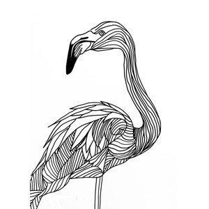 Ilustrace Lines art Flamingo, Justyna Jaszke, (30 x 40 cm)