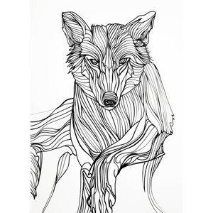 Ilustrace Lines art Wolf, Justyna Jaszke, (30 x 40 cm)