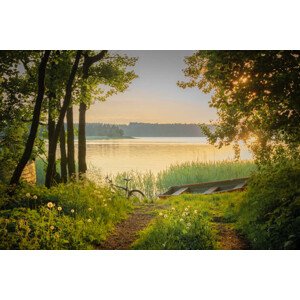 Fotografie A bike, a rowboat and dandelions, Milamai, 40x26.7 cm