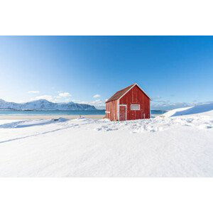 Fotografie Red cabin on the beach in, Francesco Vaninetti Photo, 40x26.7 cm