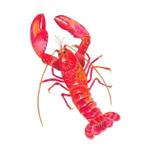 Ilustrace Patterned Lobster, Isabelle Brent, 30x40 cm