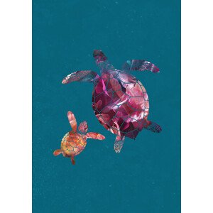 Ilustrace Colourful Turtles, Sarah Manovski, 26.7x40 cm