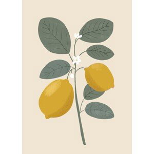 Ilustrace Lemon flower, Katarzyna Gąsiorowska, 30x40 cm