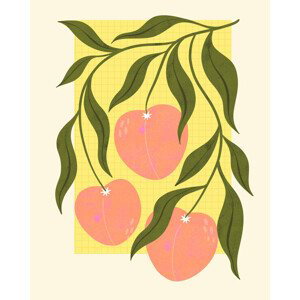 Ilustrace Peaches, Melissa Donne, 30x40 cm