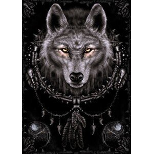 Plakát, Obraz - vlk, (61 x 91.5 cm)
