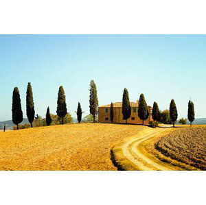 Fotografie Farmhouse and Cypress Trees, Lisa-Blue, 40x26.7 cm