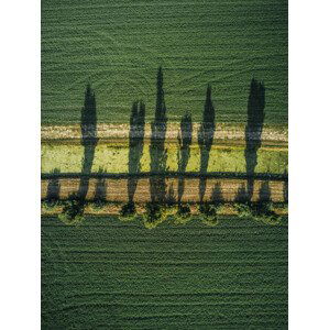 Fotografie Aerial shot of tree shadows in, Abstract Aerial Art, 30x40 cm