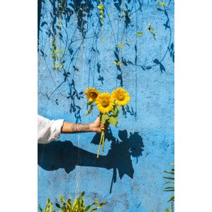 Fotografie Woman holding sunflower in front of, Westend61, 26.7x40 cm