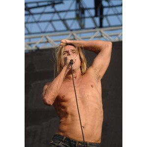 Fotografie Venice 06/20/2008 THE ROCK SINGER IGGY POP and THE STOOGES, 26.7x40 cm