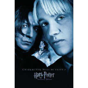 Umělecký tisk Harry Potter a Vězeň z Azkabanu - Draco, 26.7x40 cm