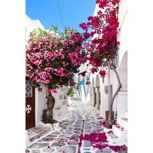 Fotografie View of flowering plants against building,Indonesia, pramono Zeo / 500px, 26.7x40 cm