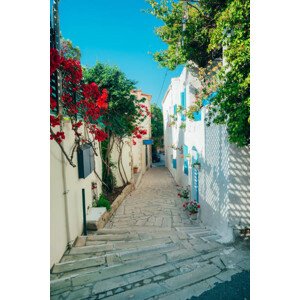 Fotografie Beautiful alley street in greece style, Greola84, 26.7x40 cm