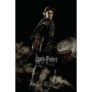 Umělecký tisk Harry Potter and the Goblet of Fire - Harry, 26.7x40 cm