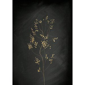 Ilustrace Black Gold Botanical No 3, Aureous, 30x40 cm