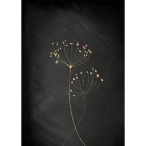 Ilustrace Black Gold Botanical No 2, Aureous, 30x40 cm