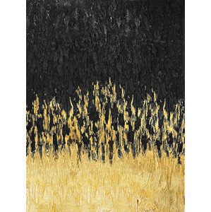 Ilustrace Starry Golden Night, Alyson Storms, 30x40 cm