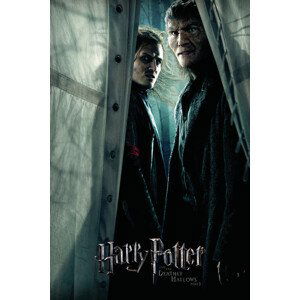 Umělecký tisk Harry Potter - Snatchers, 26.7x40 cm