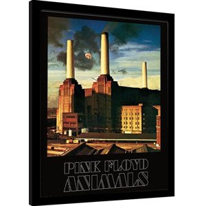 Obraz na zeď - Pink Floyd - Animals