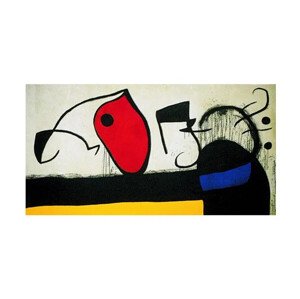 Umělecký tisk Žena se třemi vlasy v noci obklopená ptáky, 1972, Joan Miró, (80 x 60 cm)