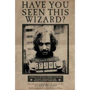 Plakát, Obraz - Harry Potter - Wanted Sirius Black, (61 x 91.5 cm)