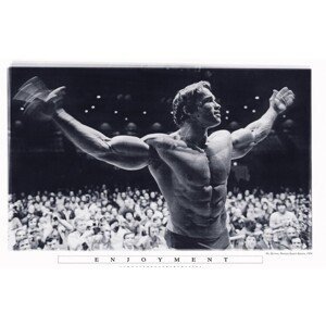 Plakát, Obraz - Arnold Schwarzenegger - Enjoyment, (91.5 x 61 cm)