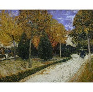 Vincent van Gogh - Obrazová reprodukce Path in the Park at Arles, 1888, (40 x 30 cm)