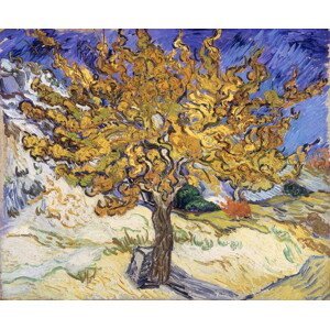 Vincent van Gogh - Obrazová reprodukce Mulberry Tree, 1889, (40 x 35 cm)