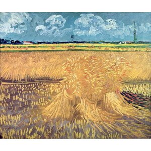 Vincent van Gogh - Obrazová reprodukce Wheatfield with Sheaves, 1888, (40 x 35 cm)