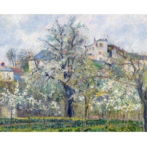 Camille Pissarro - Obrazová reprodukce The Vegetable Garden with Trees in Blossom, Spring, Pontoise, (40 x 30 cm)