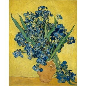 Vincent van Gogh - Obrazová reprodukce Irises, 1890, (30 x 40 cm)