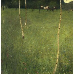 Gustav Klimt - Obrazová reprodukce Farmhouse with Birch Trees, 1900, (40 x 40 cm)