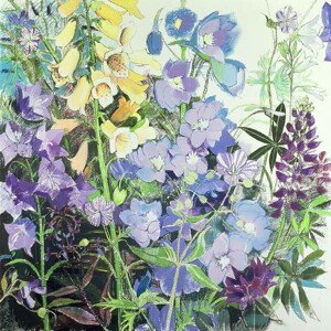 Claire Spencer - Obrazová reprodukce Delphiniums and Foxgloves, (40 x 40 cm)