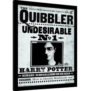 Obraz na zeď - Harry Potter - The Quibbler