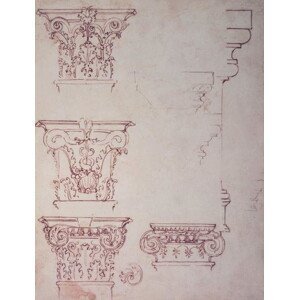 Michelangelo Buonarroti - Obrazová reprodukce Studies for a Capital, (30 x 40 cm)